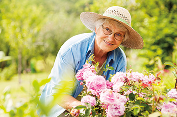 Photo of a woman gardening. Link to Life Stage Gift Planner Over Age 70 Situations.